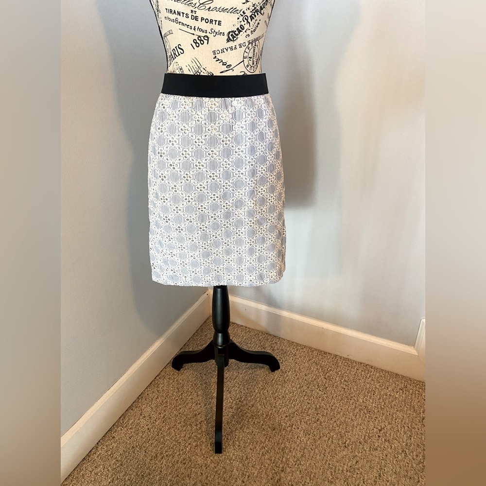 Ann Taylor patterned seersucker skirt, sz 6P